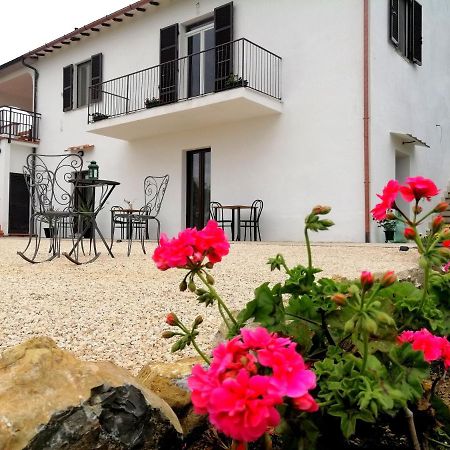 Agriturismo Podere Verdicchio سكانسانو المظهر الخارجي الصورة