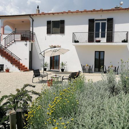 Agriturismo Podere Verdicchio سكانسانو المظهر الخارجي الصورة