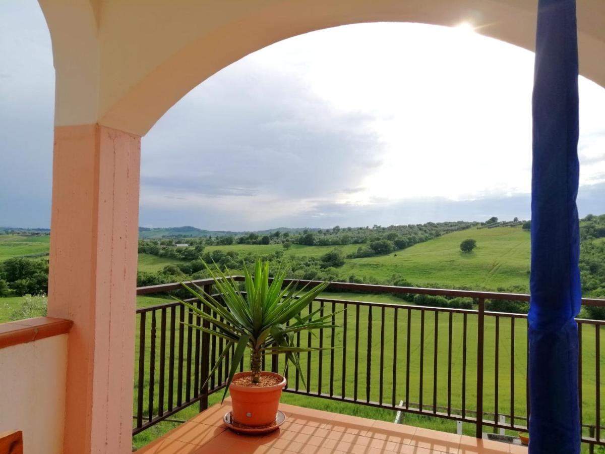 Agriturismo Podere Verdicchio سكانسانو المظهر الخارجي الصورة