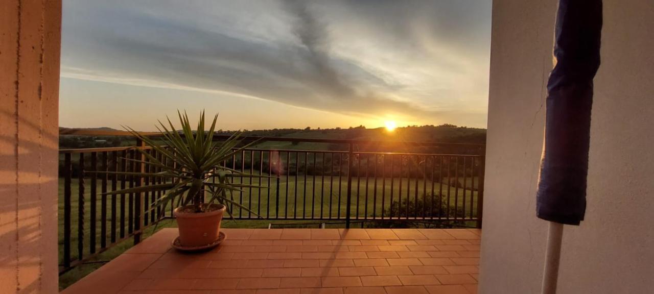 Agriturismo Podere Verdicchio سكانسانو المظهر الخارجي الصورة
