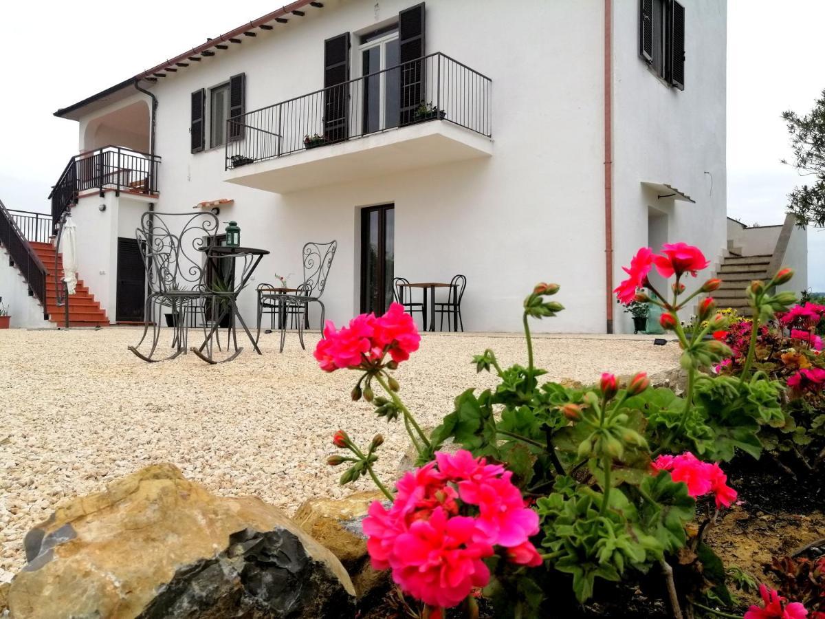 Agriturismo Podere Verdicchio سكانسانو المظهر الخارجي الصورة