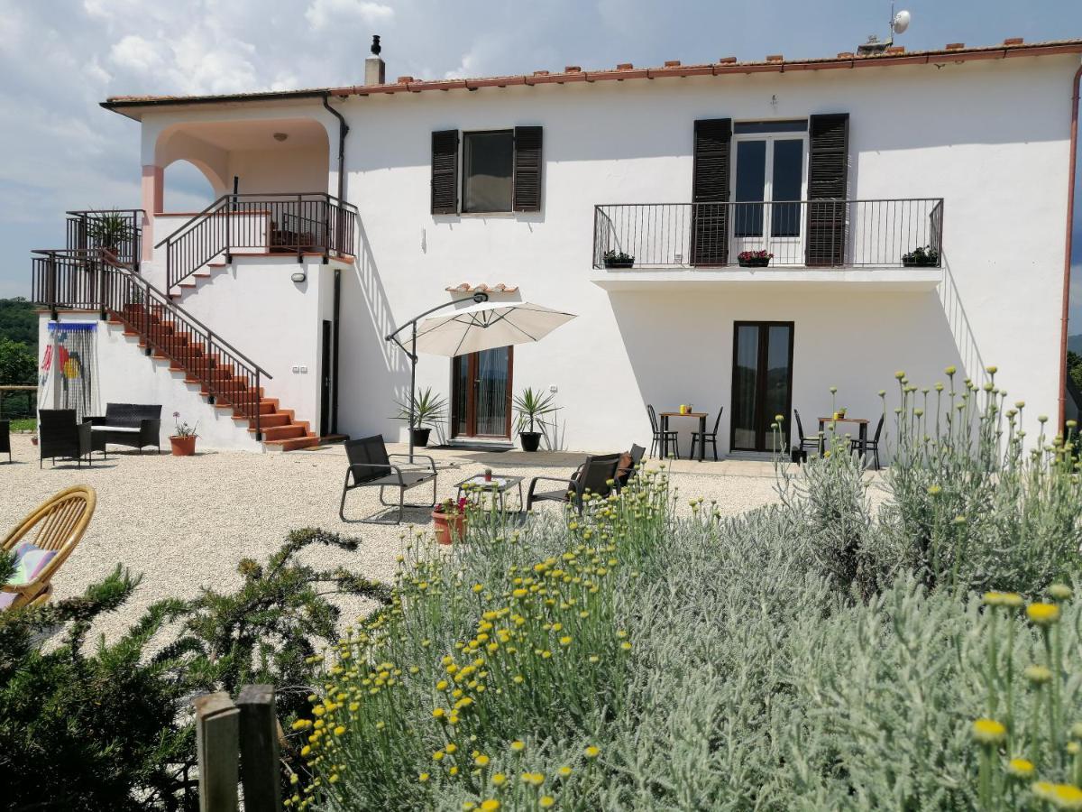Agriturismo Podere Verdicchio سكانسانو المظهر الخارجي الصورة