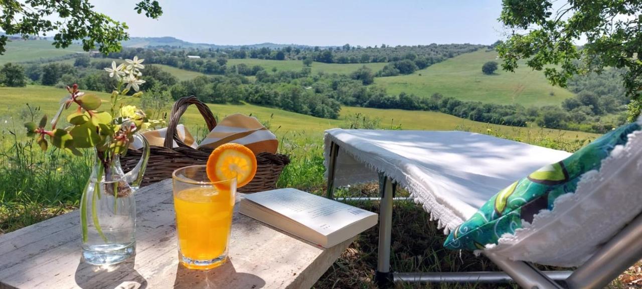 Agriturismo Podere Verdicchio سكانسانو المظهر الخارجي الصورة