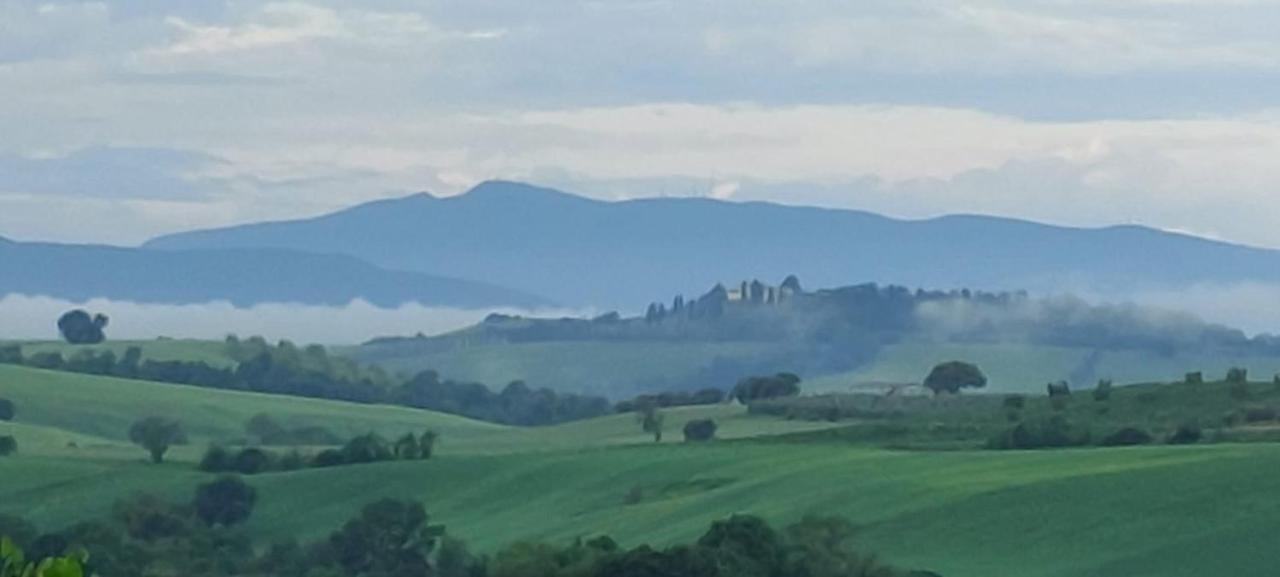 Agriturismo Podere Verdicchio سكانسانو المظهر الخارجي الصورة